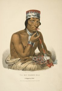 Wa-em-boesh-kaa da James Otto Lewis
